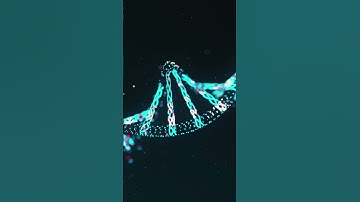 Beyond the Limits: The Power of Supercomputers in Advancing Technology