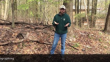 How to Use the iNaturalist App