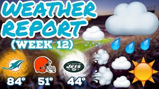 NFL Week 12 *Weather Report* & Best Bets || 2022