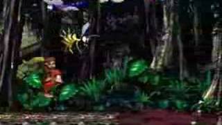 Donkey Kong Country 2 -  Jungle Jinx