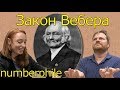 Закон Вебера [Numberphile на русском]