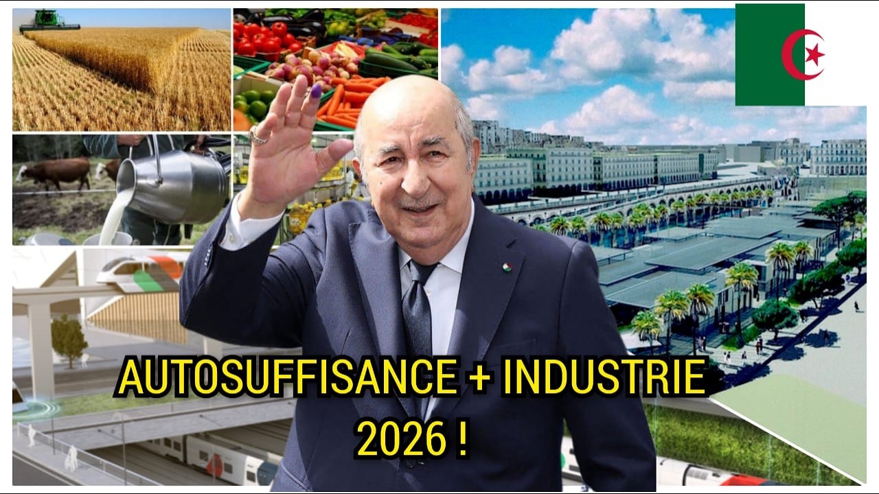АЛЖИР 2026: Продовольственная самодостаточность + промышленный бум – мы на пути к цели!
