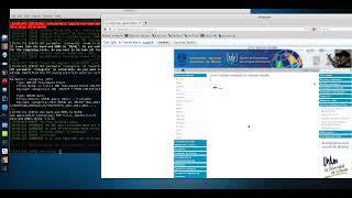 Curso inyeccion SQL #16   Explotando una Blind SQLi