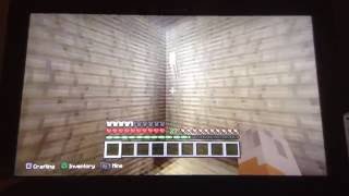 Minecraft Intro #1