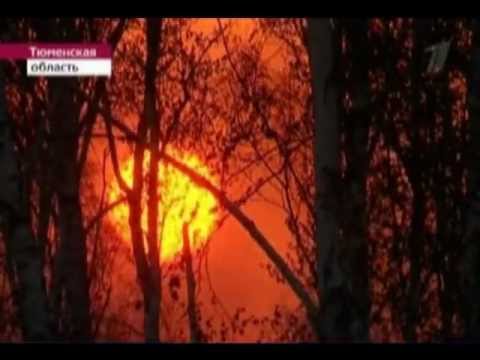 Total - С добрым утром