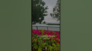 وَلْتَكُن مِّنكُمْ أُمَّةٌ يَدْعُونَ إِلَى الْخَيْرِ  #القارئ_محمد_اسبيعان
