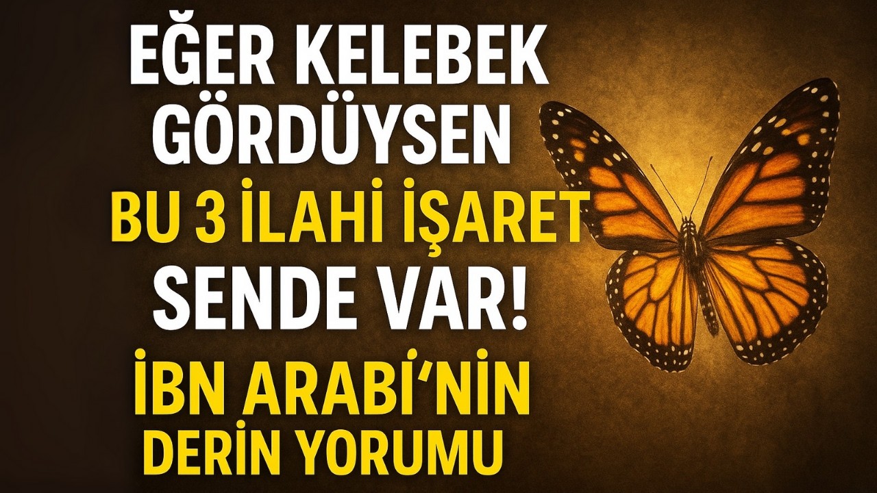 Eğer Kelebek Göründüyse Bu 3 İlahi İşaret Sende Var! İbn Arabi’nin Derin Yorumu