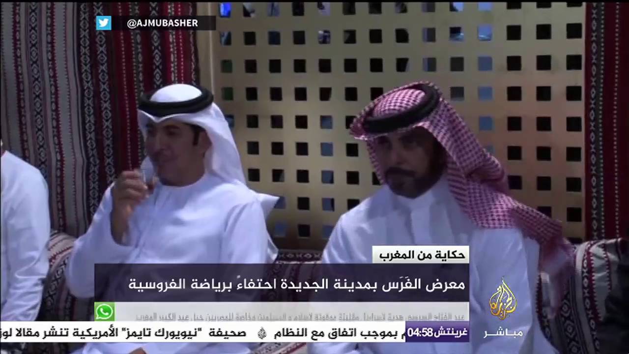 احتفاء برياضة الفروسية بالمغرب .. حكاية
