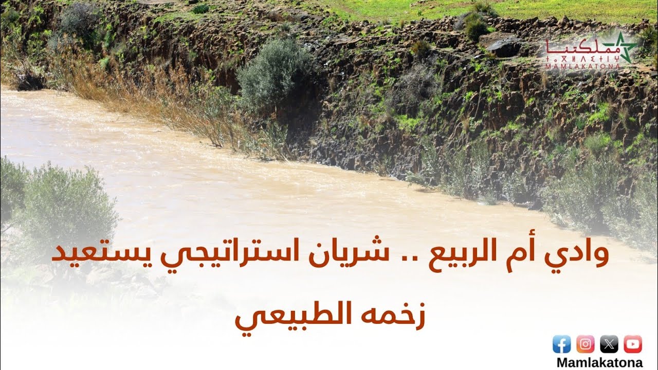 وادي أم الربيع .. شريان استراتيجي يستعيد زخمه الطبيعي