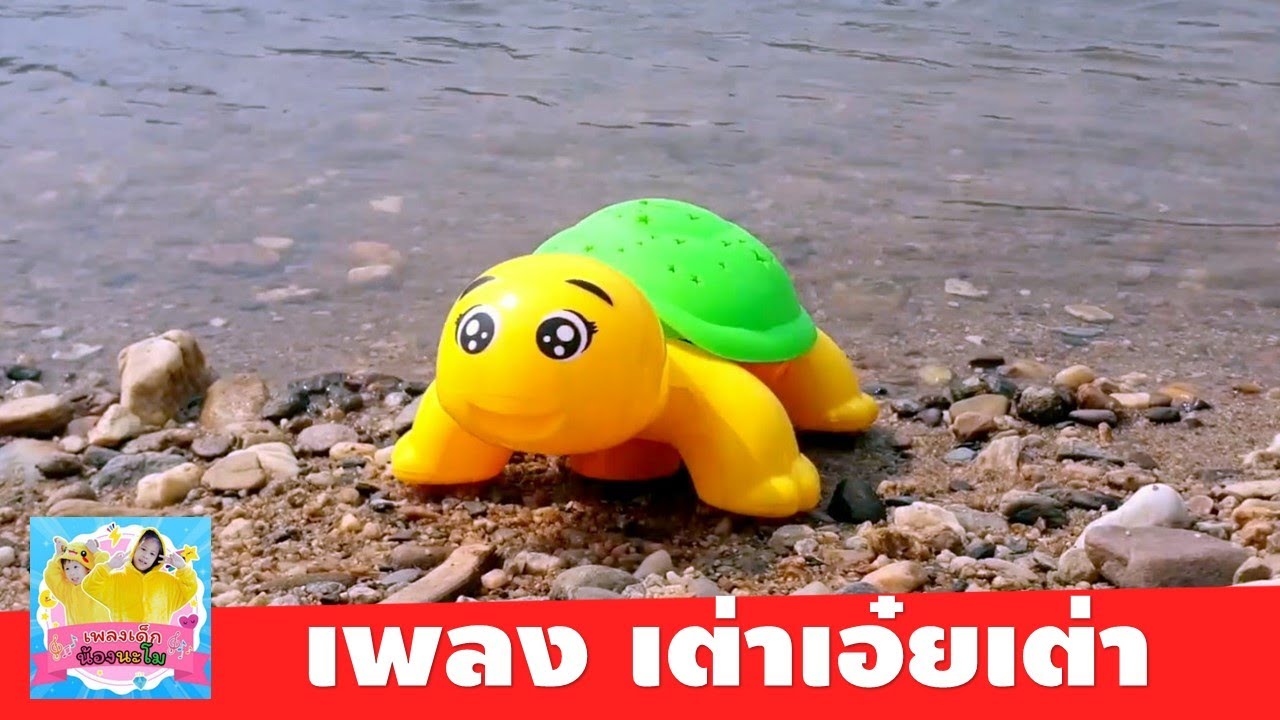 เพลงเต่า เอ๋ยเต๋า | เต่าเดินเล่นบนทรายริมแม่น้ำ น่ารักดุ๊กดิ๊ก