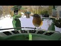 Super Triple Feeder in Frozen New England! Real birds, live no AI, not recorded! Woodpeckers Bluejay
