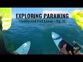 Unfiltered Foil Lines | Session N.11: Exploring Parawing