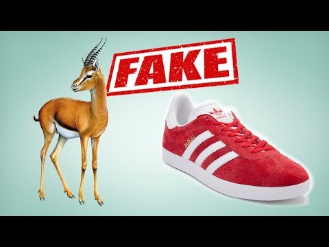 Кроссовки Adidas Gazelle. Как отличить подделку от оригинала. Iriska Fashion Lab