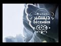 #CBCegy #CBCPromo إنتظروا... كل ما
