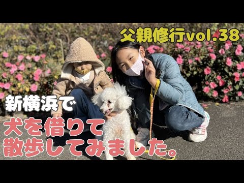 犬 子供と新横浜トリミングスクールで犬をレンタルして散歩してみました Youtube