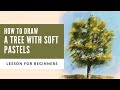 How to draw a tree step by step with soft pastels | Easy drawing tutorial for beginners