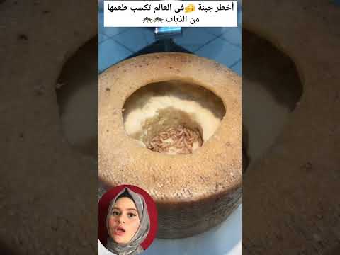 أخطر جبنة في العالم تكسب طعمها من الذباب  أخطر الأكلات  أغرب الأشياء غرائب جبن 