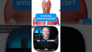 Celebrity Orbicularis oris - The muscle behind a smooch Net Worth