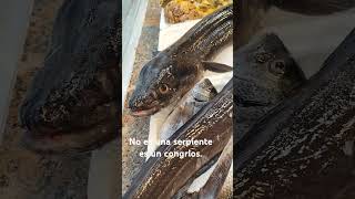 No es una serpiente es un congrio, además es un pescado azul. En Galicia hacen empanadas de el #fish