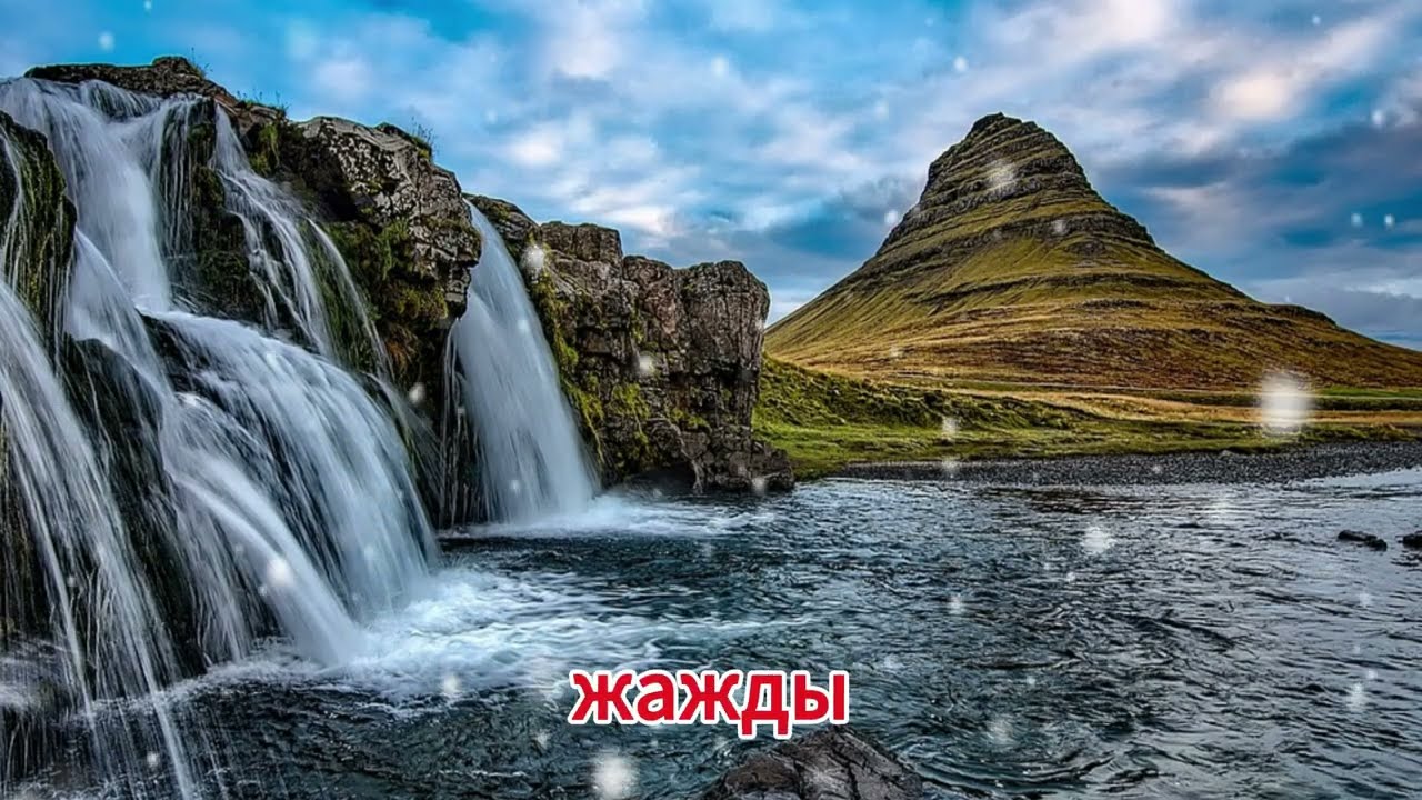 Моя свекровь живёт как королева — я была в шоке