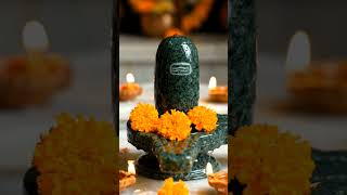 Panna Shivling Ke Darshan 🔱 Budh Grah Shant Kare 💚 Ujjain Mahakal