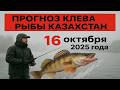 ПРОГНОЗ КЛЁВА в Казахстане на 16 октября 2025 Бросай все и на рыбалку!