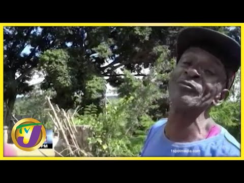 'Everything Pap Dung' | TVJ News - Dec 10 2021