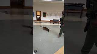 BCSO: K-9 Deputy William