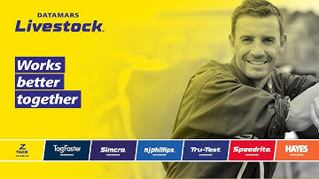 Datamars Livestock Vision