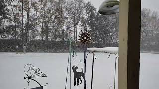 4 inches of snow in Pensacola 32534