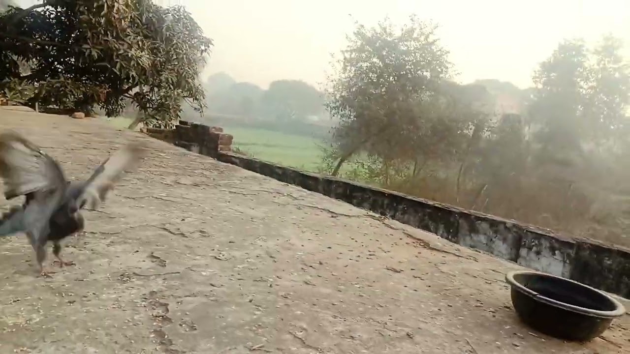 Bhai yah Mera pahla Long video hai support karo##👍👍🕊️🕊️🙏🙏🙏👍👍👍👍