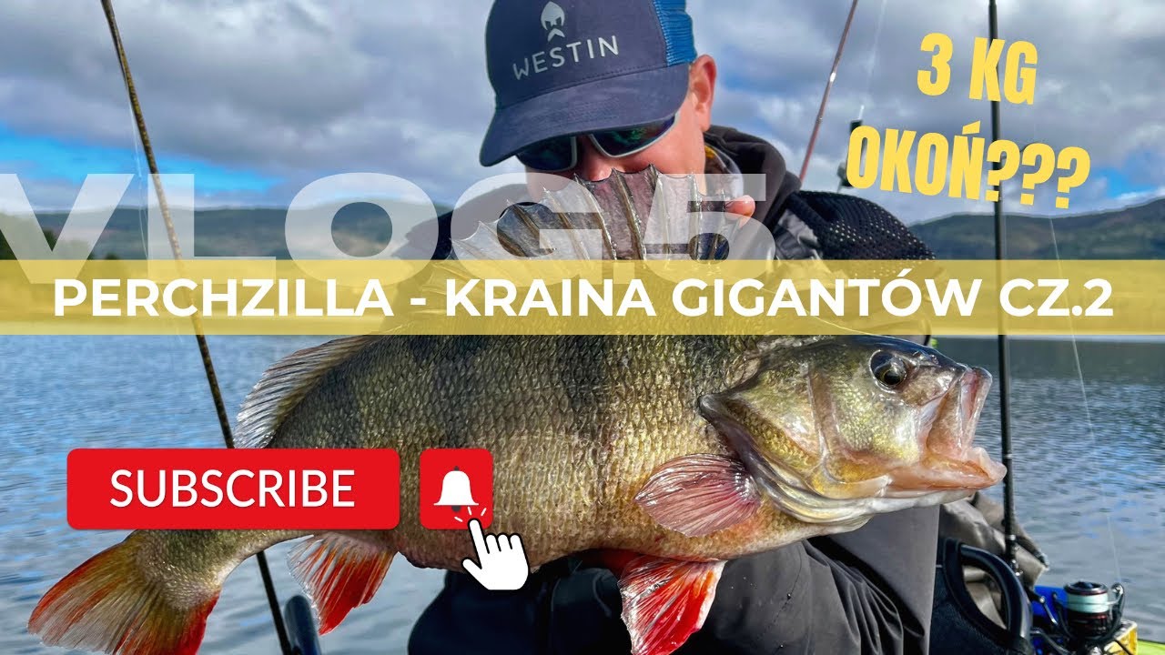 3kg OKOŃ??? PERCHZILLA - kraina GIGANTÓW cz.2 | odc.5