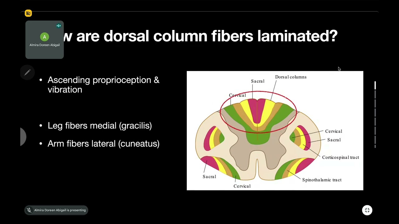 NEURO LECTURE FEB 26