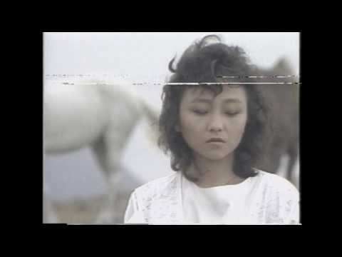 鄭怡、伍思凱【我和你】｜Coden Official MV