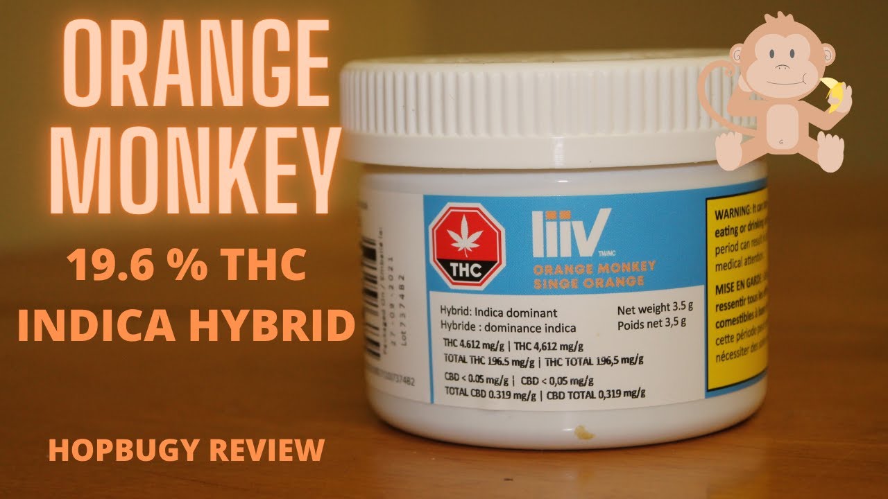 Orange Monkey by liiv 19.6% THC indica hybrid  REVIEW