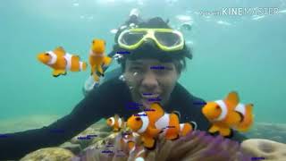 Lagu lampung 4 5 bulan