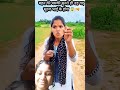 #comedy #funny reels surj rox bahan Dekho Goli fenk Ke Maar Diya Hai bhai ko apna