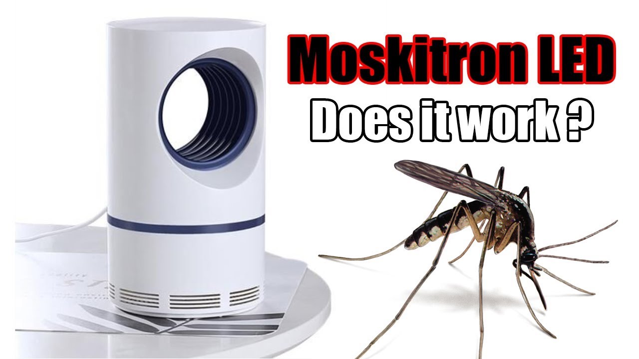 Moskitron LED, Mosquito killer lamp Review Does it work?