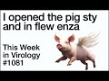 TWiV 1081: I opened the pig sty and in flew enza