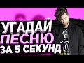 Угадай песни ЛСП за 5 секунд #19