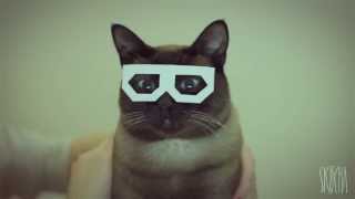 BEST DUBSTEP CAT EVER!