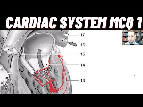 Cardiac System Problem Set MCQ&rsquo;s Part 1