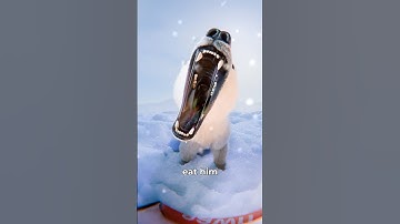 He Fought a Polar Bear With a Saucepan