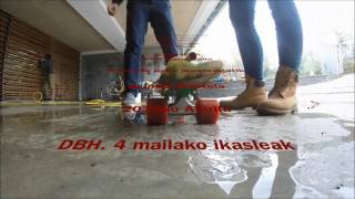 Newton Legeak Dbh4 Aukeratuak 2015 2016