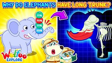 Why Is the Elephant’s Trunk So Strong? 🐘💪 Wolfoo Explore - Animals 🔍 Educational Videos for Kids