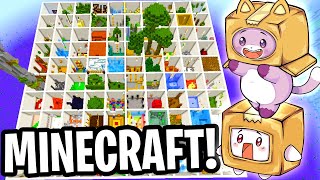 Can Foxy & Boxy Beat This MINECRAFT PARADISE PARKOUR!? (100 LEVELS!)