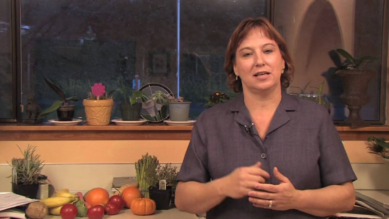 Gardening Edible Plants How to Grow Soybeans YouTube