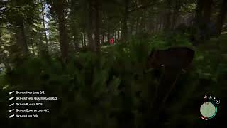 wild moose chase