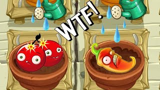 All Animation Bomb Plants In Zen Garden - Plants Vs Zombies 2