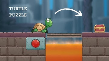 Turtle Puzzle Brain Puzzle Games